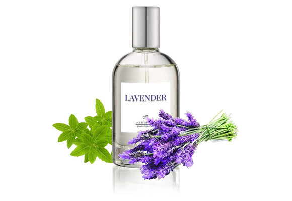 IGroom Perfume Lavendar 100 ml