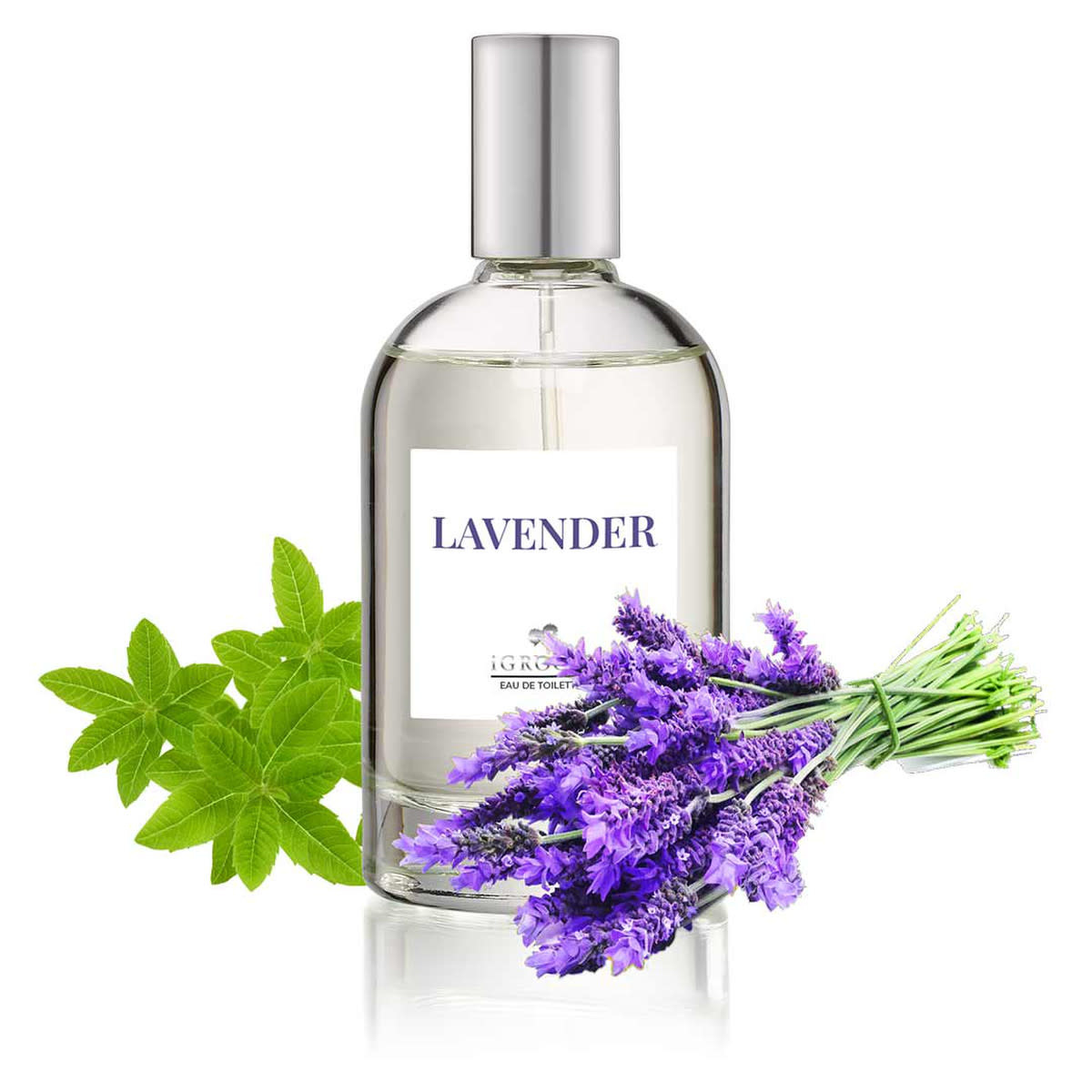 IGroom Perfume Lavendar 100 ml