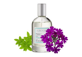 IGroom Perfume Pleasia 1 100 ml