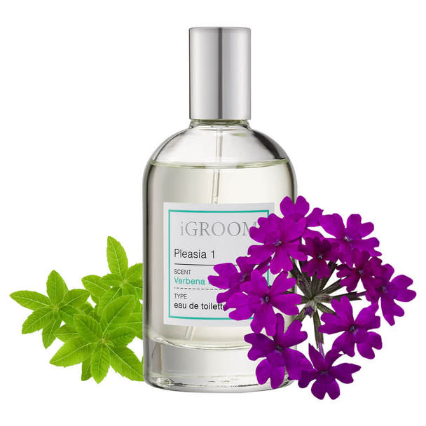 IGroom Perfume Pleasia 1 100 ml