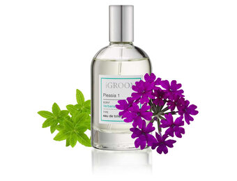 IGroom Perfume Holiday 1 100 ml