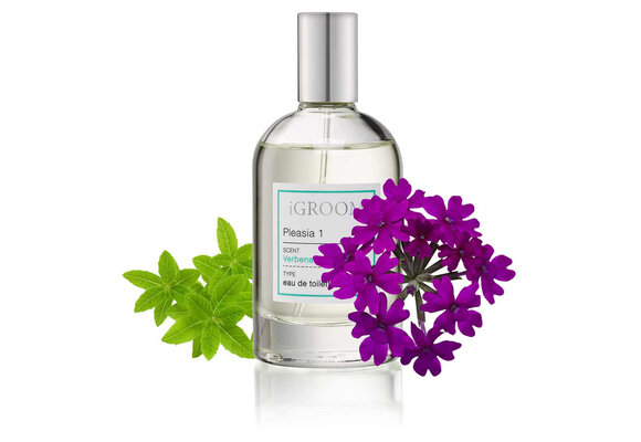 IGroom Perfume Holiday 1 100 ml