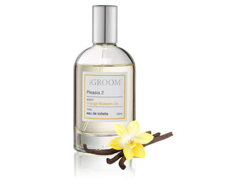 IGroom Perfume Holiday 2 100 ml