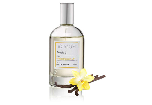 IGroom Perfume Holiday 2 100 ml