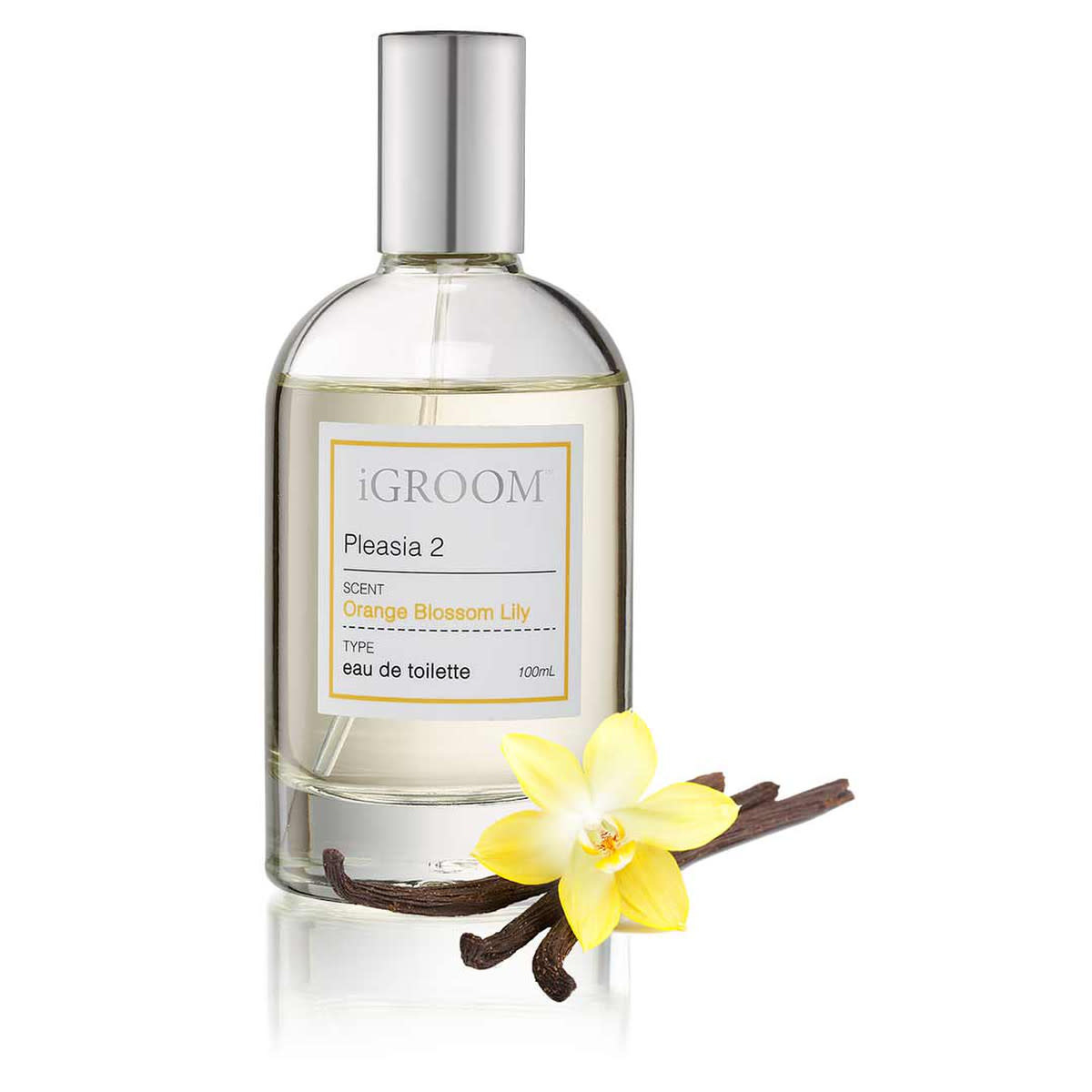 IGroom Perfume Holiday 2 100 ml