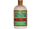 Best Shot Scentament Spa Refreshing Body & Facial Wash Apple Harvest Scent 16 oz