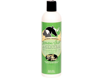 Best Shot Lemon-Aid Wash 16 oz