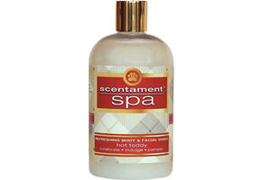 Best Shot Scentament Spa Hot Toddy 16 oz