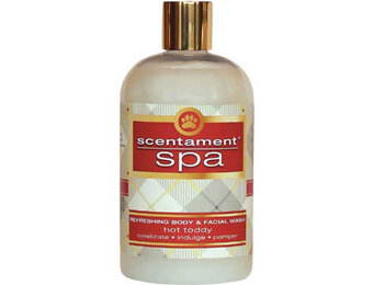 Best Shot Scentament Spa Hot Toddy 16 oz