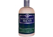 Best Shot Scentament Spa Refreshing Body & Facial Wash Berry Amaretto Scent 16 oz