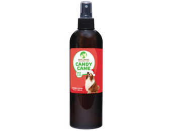 ShowSeason Candy Cane Cologne 12.5 oz