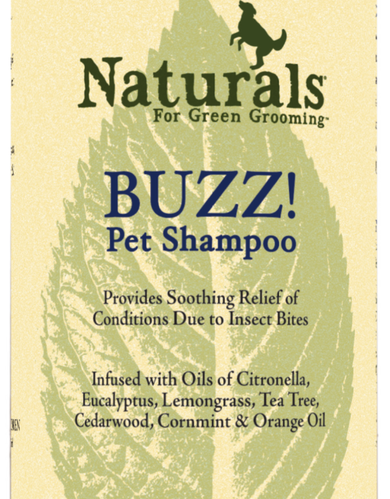 ShowSeason ShowSeason Buzz Shampoo 12 oz