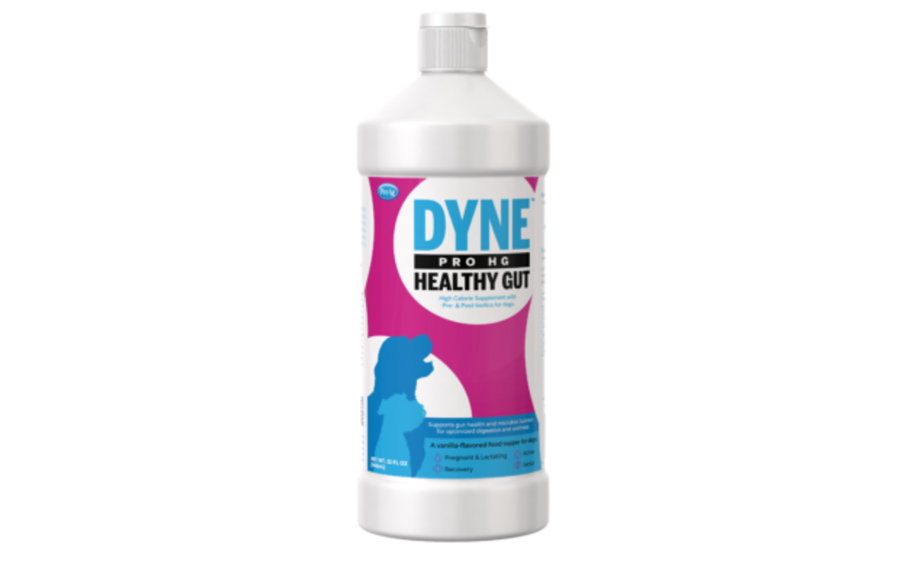 PetAg Dyne PRO HG Healthy Gut For Dogs 32 oz