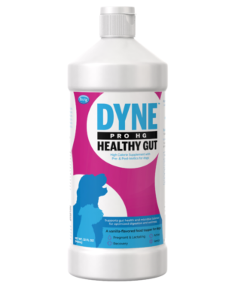 PET-AG PetAg Dyne PRO HG Healthy Gut For Dogs 32 oz