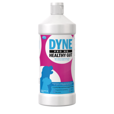 PetAg Dyne PRO HG Healthy Gut For Dogs 32 oz