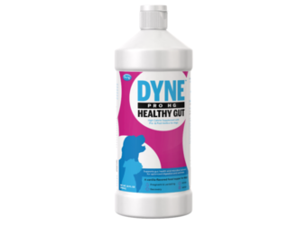 PetAg Dyne PRO HG Healthy Gut For Dogs 16 oz