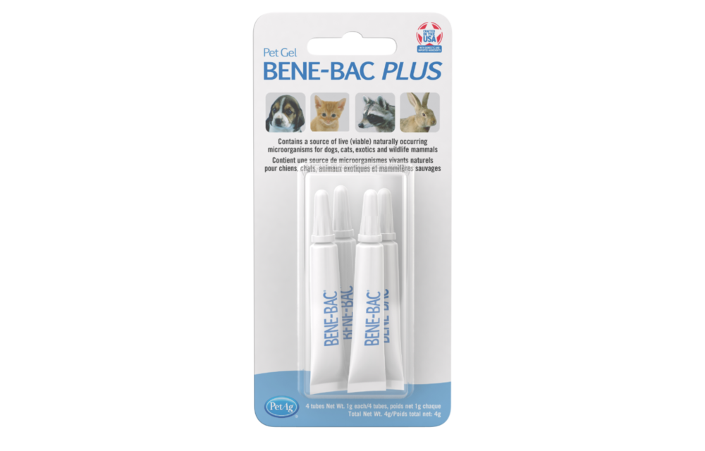 Bene-Bac Plus Small Animal Gel