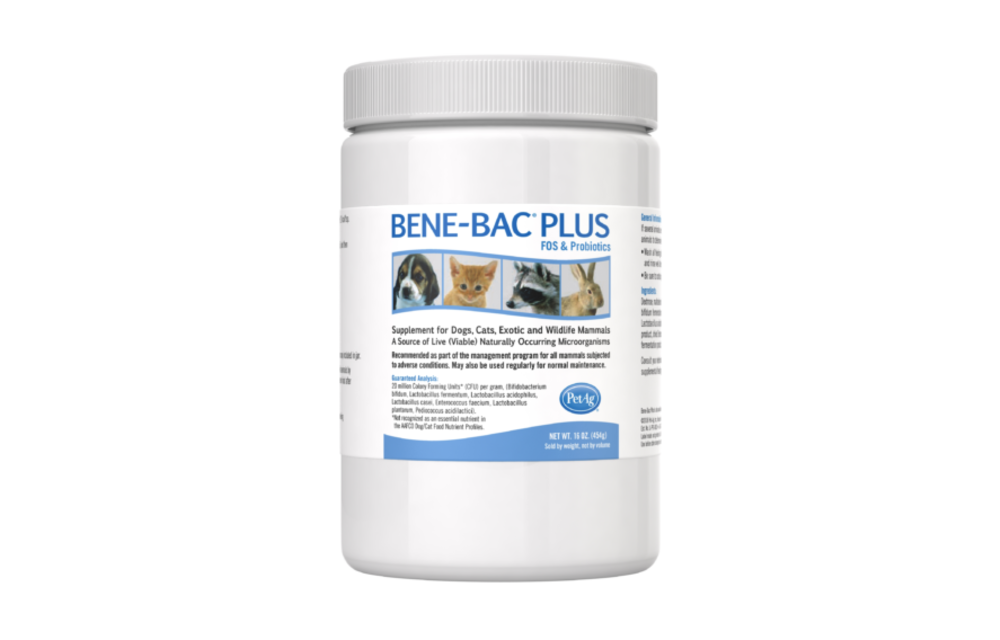 Bene-Bac Plus Pet Powder 1 lb