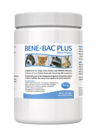 Bene-Bac Plus Pet Powder 1 lb