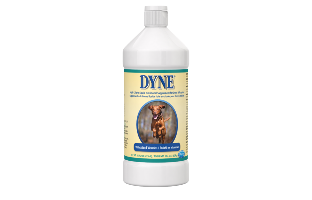 Dyne High Calorie Liquid Nutritional Supplement for Dogs & Puppies 16 oz