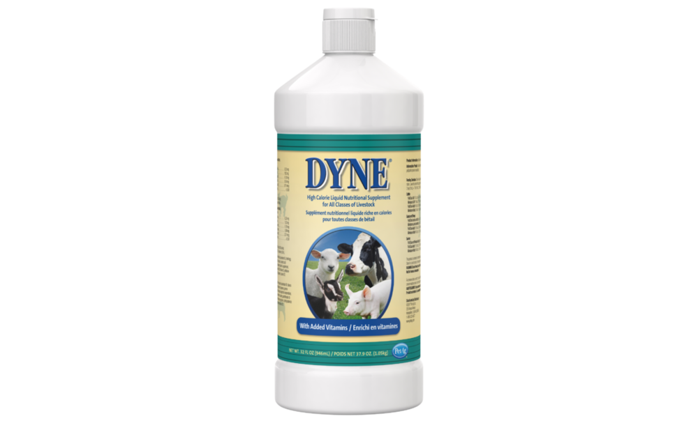 Dyne High Calorie Liquid Nutritional Supplement for Livestock 32 oz