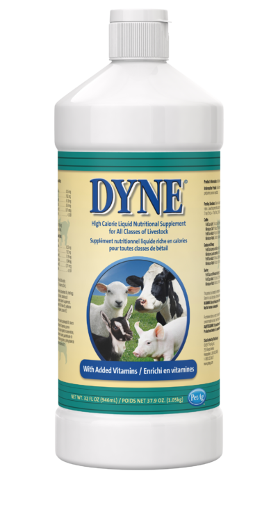 Dyne High Calorie Liquid Nutritional Supplement for Livestock 32 oz