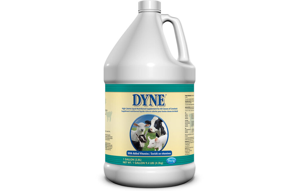 Dyne High Calorie Liquid for Livestock 1 Gallon