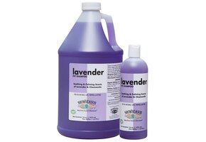 ShowSeason Lavender Shampoo 16 oz