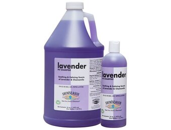 ShowSeason Lavender Shampoo 16 oz
