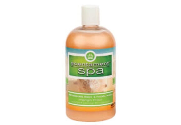 Best Shot Scentament Spa Body & Facial Wash Mango Maui 16 oz