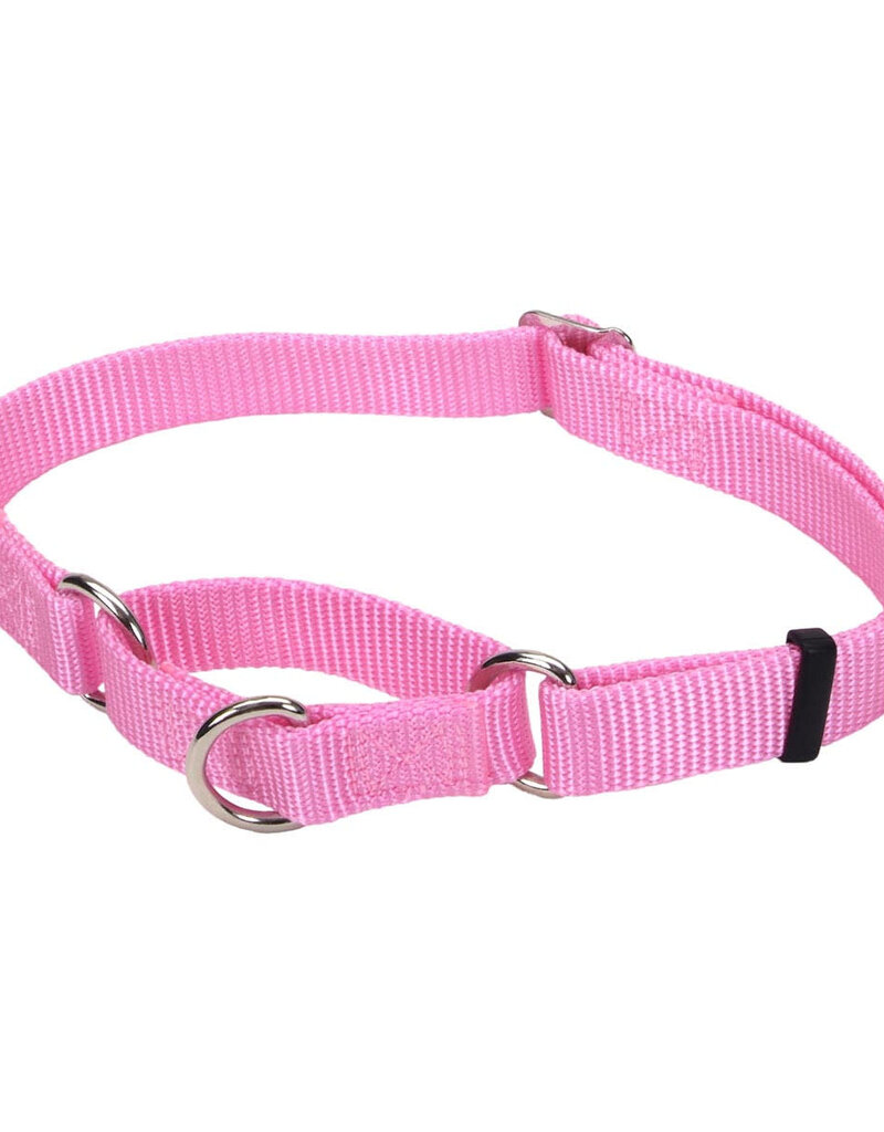 Coastal Pet No! Slip Martingale Adjustable Dog Collar with Buckle, Pink Bright, Medium - 5/8" x 14"-18"