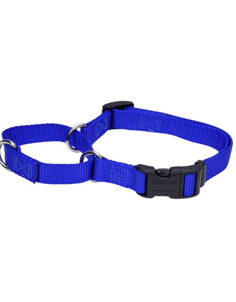 Coastal Pet No! Slip Martingale Adjustable Dog Collar with Buckle, Blue , Medium - 5/8" x 14"-18"