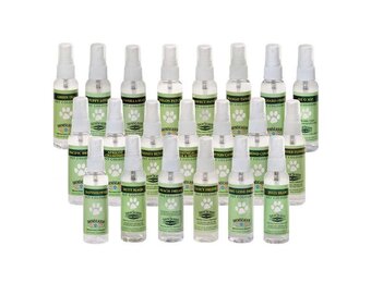 ShowSeason Pet Cologne Peach Dream 8.5 oz ( A sweet, juicy peach scent with a hint of cream )