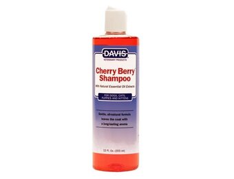 Davis Cherry Berry Shampoo 12oz