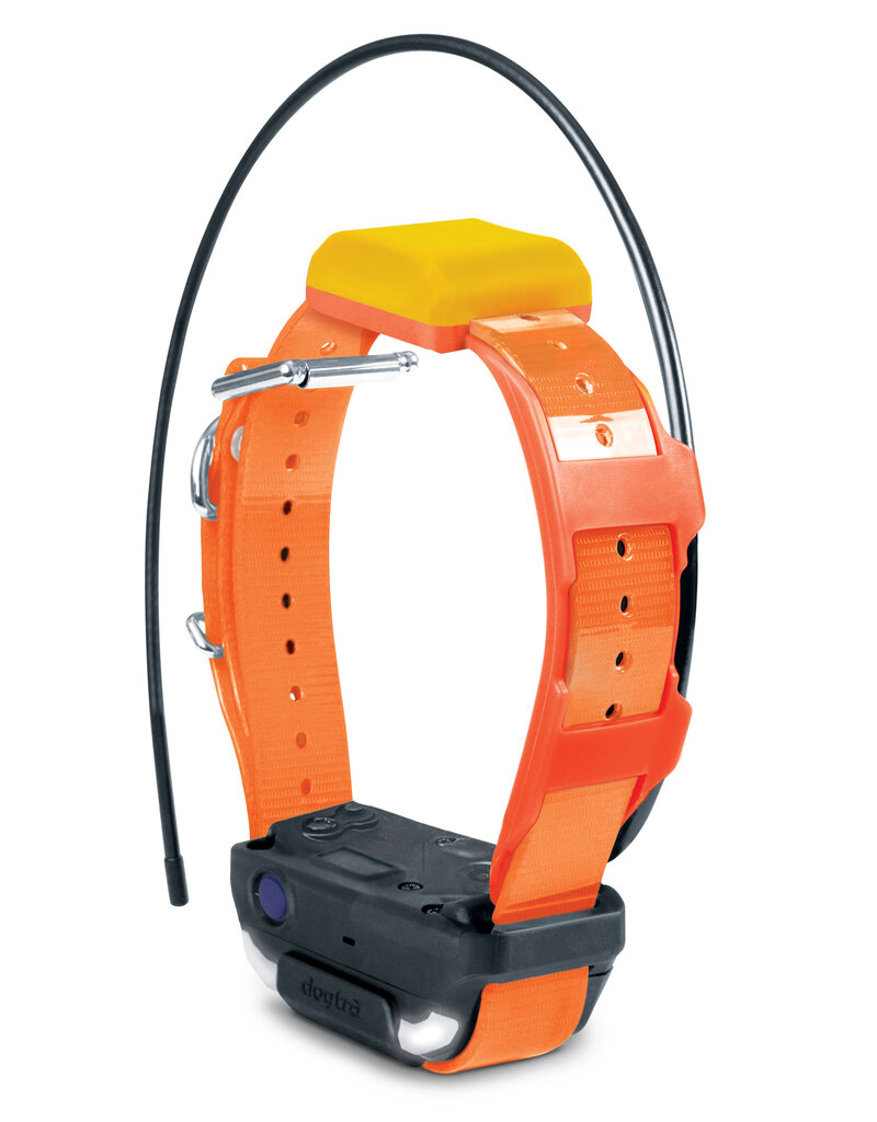 Dogtra Dogtra Pathfinder2 TRX Extra Receiver Collar Orange