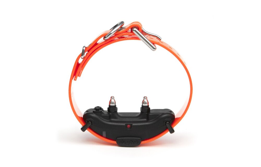 Dogtra ARC Extra Collar Orange Orange