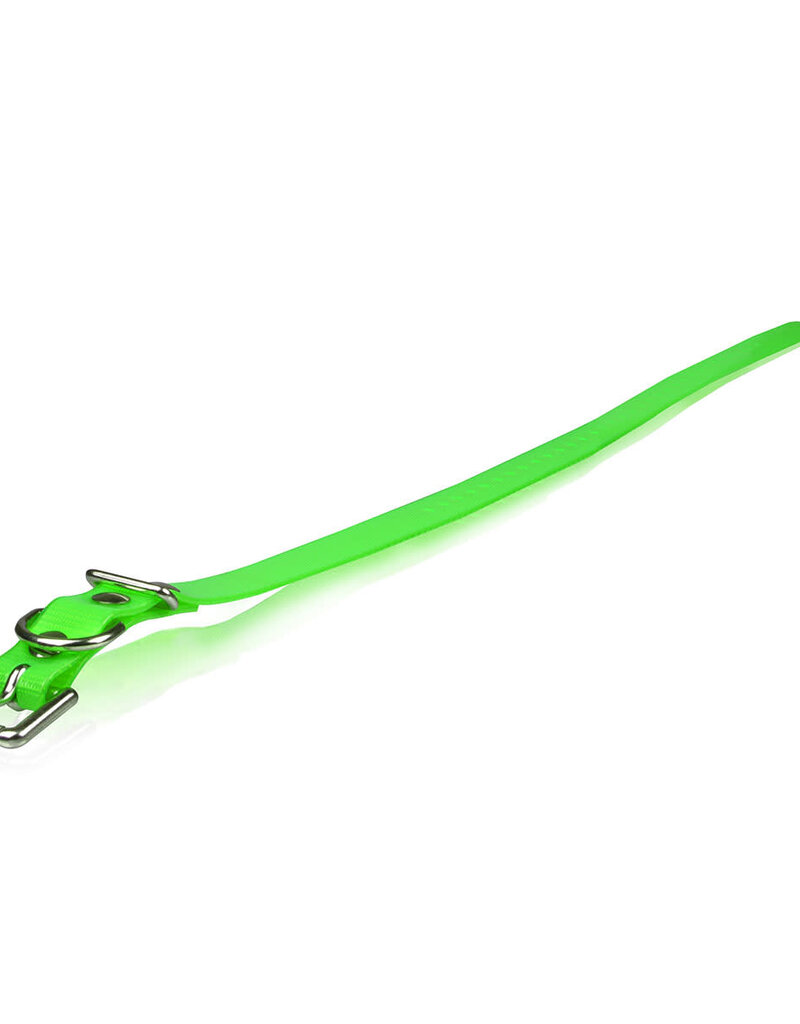 Dogtra Dogtra Extra Dog Collar Strap Green 3/4" x 28"