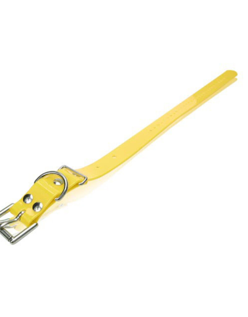 Dogtra Dogtra Extra Dog Collar Strap Yellow 1" x 24"