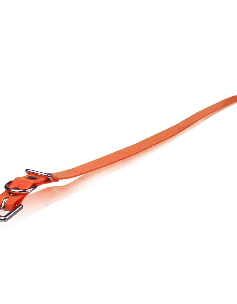 Dogtra Dogtra Extra Dog Collar Strap Orange 1" x 24"