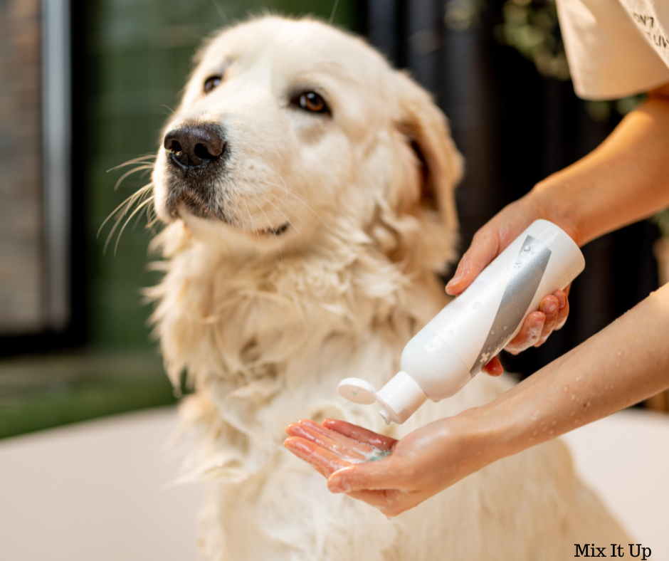 Saving Money on Shampoo By Diluting 