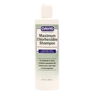 Davis Maximum Chlorhexidine Shampoo 4 %  12 oz