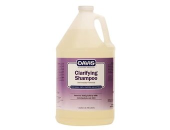 Davis Clarifying Shampoo Gallon