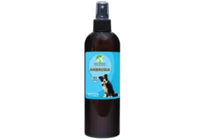 Showseason Ambrosia Cologne 12.5 oz