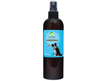 Showseason Ambrosia Cologne 12.5 oz