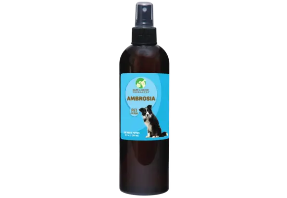 Showseason Ambrosia Cologne 12.5 oz