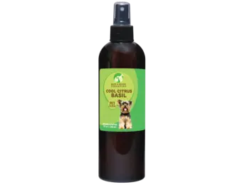 Showseason Cool Citrus Basil Cologne 12.5 oz