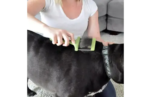 Safari Medium Flexible Slicker 424