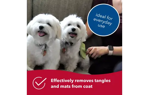 Safari Dog Curved Firm Slicker Brush Small  W462