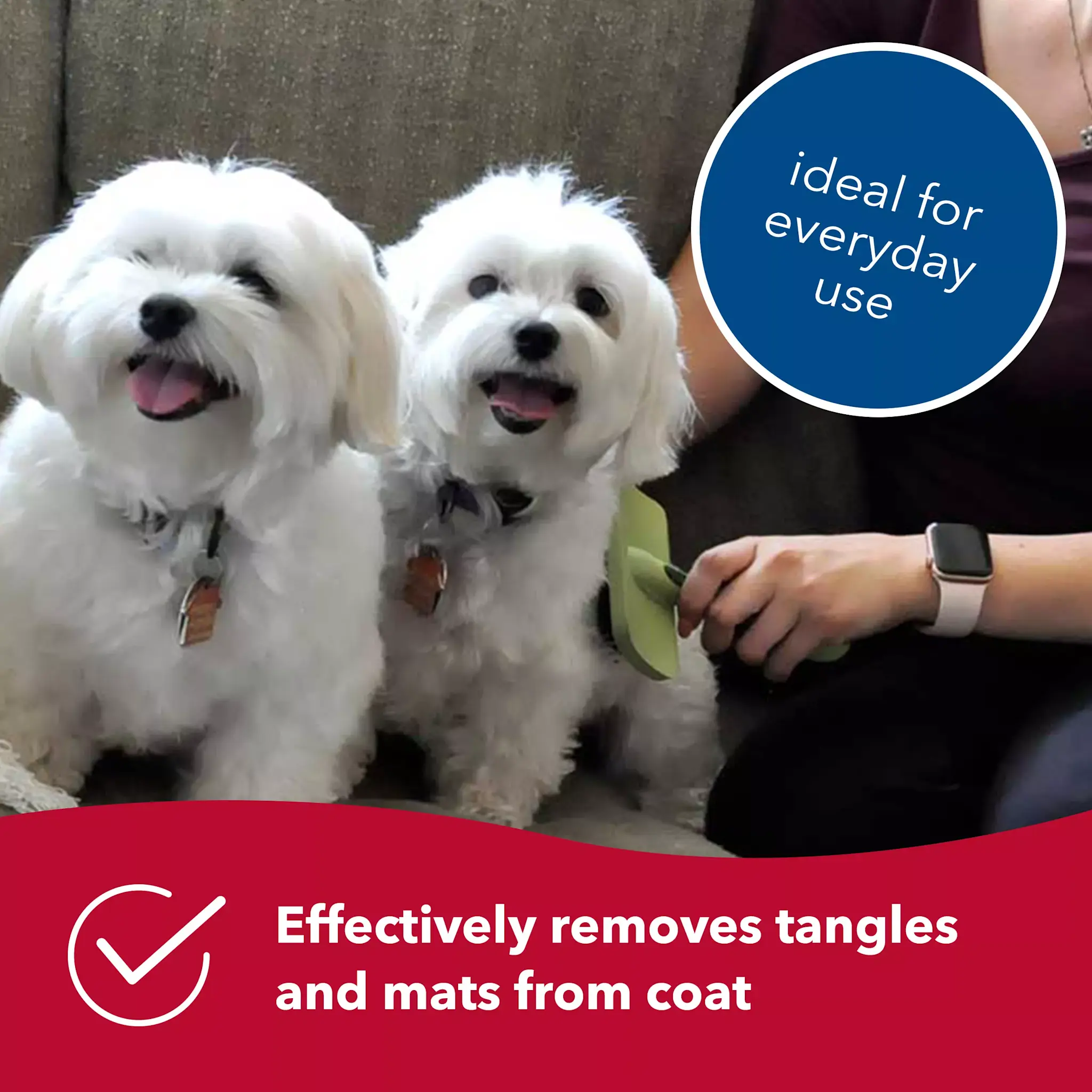 Safari Dog Curved Firm Slicker Brush Small  W462