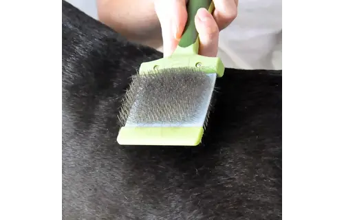 Safari Dog Flexible Slicker Brush -Small